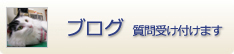 ブログ 質問受け付けます